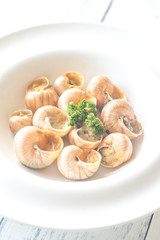 Portion of cooked snails