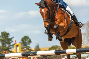 Foto op Plexiglas anti-reflex Paardrijden Show Jumping Horse Head Poles Rider Closeup Action