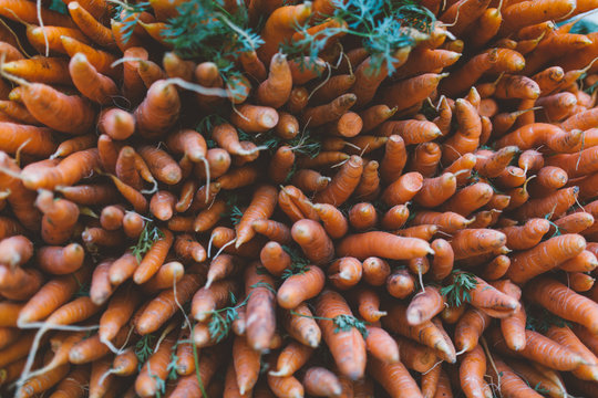Carrots at a farmers market