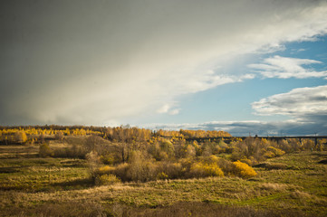 The Golden colours of nature and the railroad 8186.