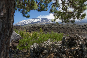 Etna Landscape view from tree