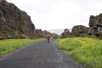 Landschaft in Islands S&uuml;d-Westen - Pingvellir - Golden Circle 