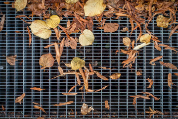 Blätter verstopfen Schacht