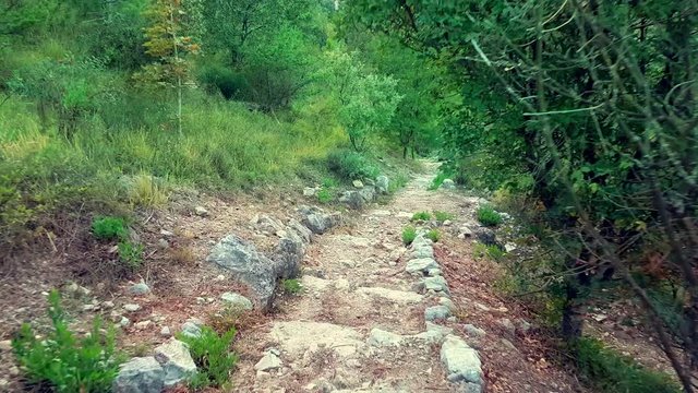 POV Point of View of Walking, Hiking, Trekking on Mountain Trail Path. French Alps Green Nature - 4K Video
