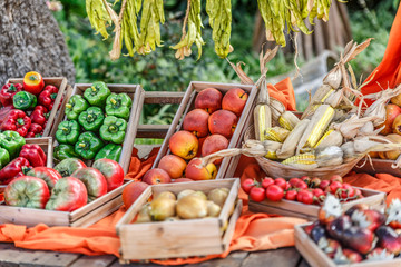 Set of peppers, tomatoes, apples and cob, displayed in baskets on an ecological farm