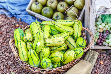 Vegetables and fruits displayed in an ecological orchard