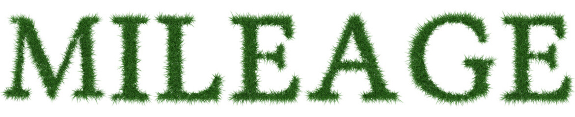Mileage - 3D rendering fresh Grass letters isolated on whhite background.