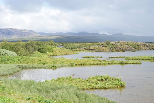 Landschaft in Islands Süd-Westen - Pingvellir - Golden Circle