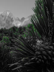 góry - mountains © Anna