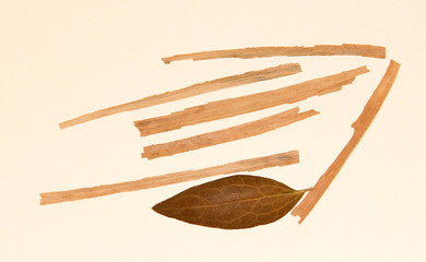 stick pressed dry fall iris leaf straw   wooden planks set