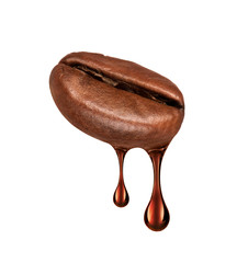 Drop of coffee dripping from coffee seed close-up isolated on white background