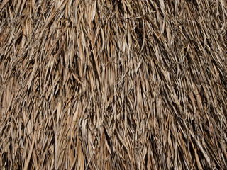 Thatched Grass Roof