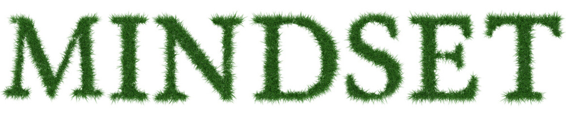Mindset - 3D rendering fresh Grass letters isolated on whhite background.