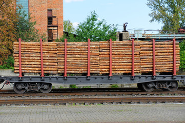 Freight train loaded with pine trunks