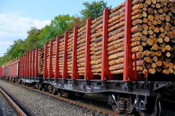 Freight train loaded with pine trunks