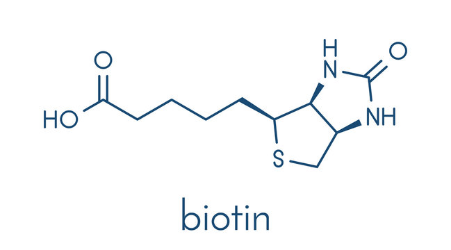 Vitamin B7 (biotin) molecule. Skeletal formula.