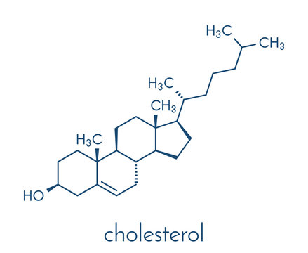 Cholesterol molecule. Essential component of cell membranes and precursor of steroid hormones, bile acids and vitamin D. Skeletal formula.