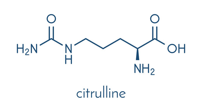 Citrulline amino acid molecule. Present in some athletic dietary supplements. Skeletal formula.