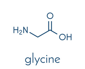 Glycine (Gly, G) amino acid molecule. Skeletal formula.
