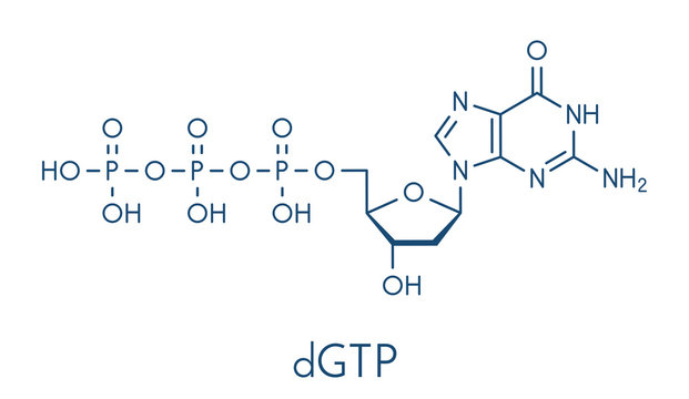「ヌクレオチド」の画像 5,504 件の Stock 写真、ベクターおよびビデオ Adobe Stock