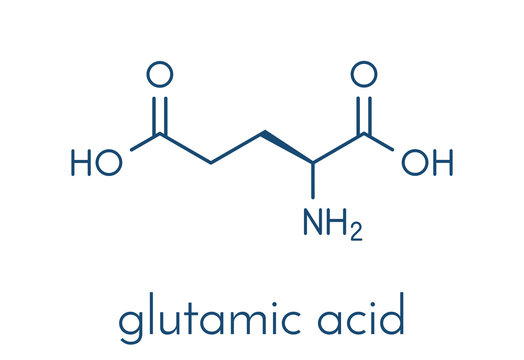 Glutamic acid (l-glutamic acid, Glu, E) amino acid and neurotransmitter molecule. Skeletal formula.