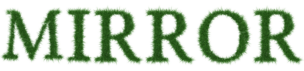 Mirror - 3D rendering fresh Grass letters isolated on whhite background.