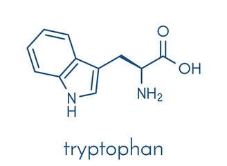 tryptophan acid amino serotonin formula molecular trp molecule skeletal vector