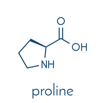 Proline (l-proline, Pro) amino acid molecule. Skeletal formula.