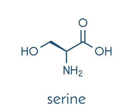 Serine (l-serine, Ser, S) amino acid molecule. Skeletal formula.