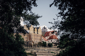 Blick auf das Schloss Bernburg durch den Wald