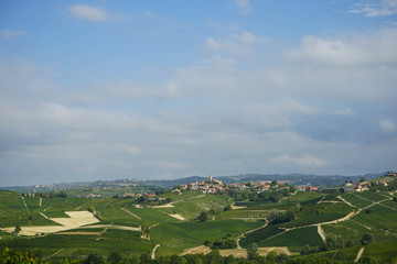Fototapeta na wymiar Hills in the Langhe around Castiglion Falletto, Piedmont - Italy