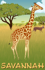 African savannah with giraffe, heron and caracal - vector illustration