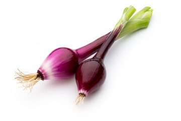 Green onion isolated on the white background.