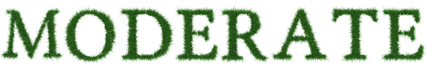 Moderate - 3D rendering fresh Grass letters isolated on whhite background.