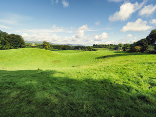  summer countryside morning,Northern Ireland