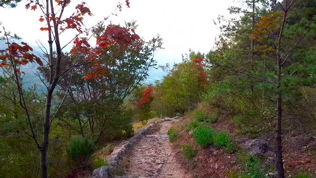 POV Point of View of Walking, Hiking, Trekking on Mountain Trail Path. French Alps Green Nature - 4K Video
