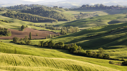 Tuscan rural landscape