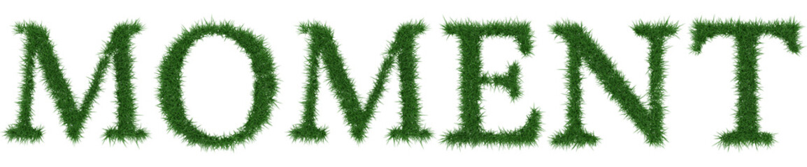 Moment - 3D rendering fresh Grass letters isolated on whhite background.