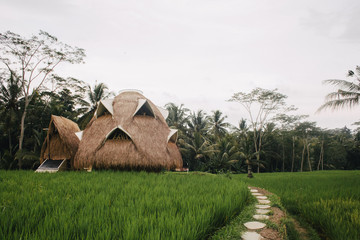 Beautiful bio architecture dome made from bamboo in the middle of the rice field