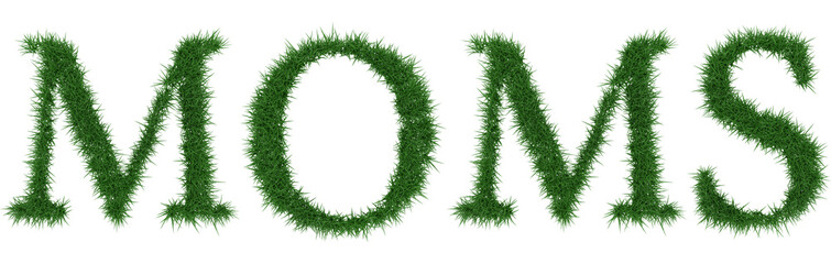 Moms - 3D rendering fresh Grass letters isolated on whhite background.