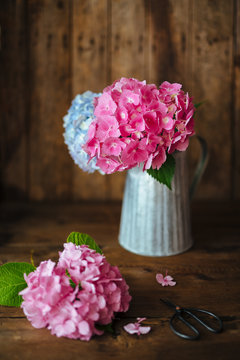 Hydrangea flowers bouquet