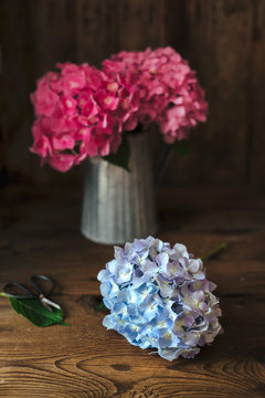 Hydrangea flowers bouquet
