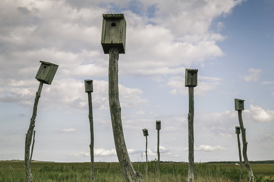 Birdhouses
