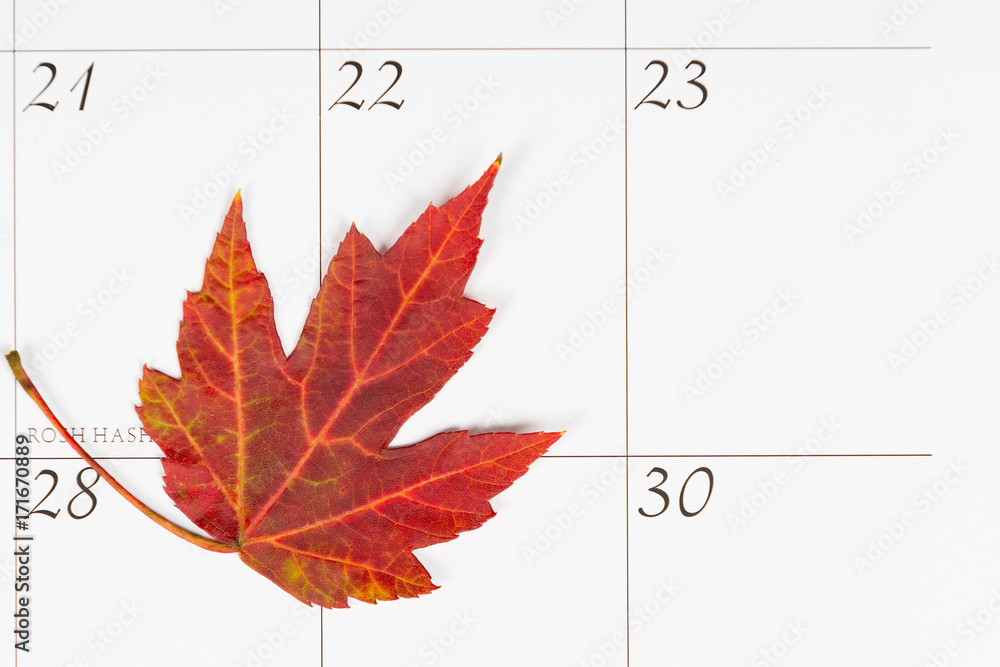 Wall mural Autumn leaf on a calendar for the first day of fall with copy space