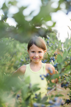 Smiling girl looking at camera through a row of blueberry bushes