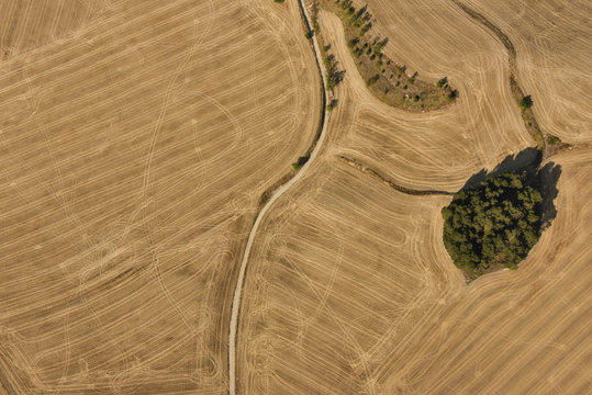 Aerial views of wheat fields in summer