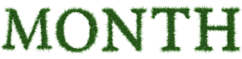 Month - 3D rendering fresh Grass letters isolated on whhite background.