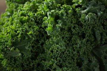 Close-up of kale