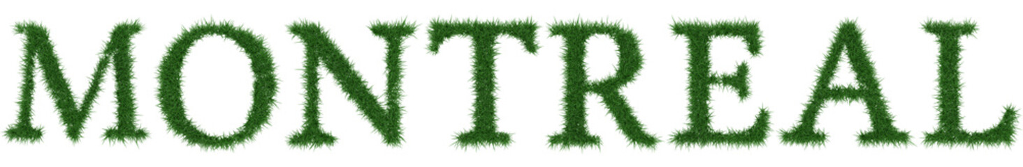Montreal - 3D rendering fresh Grass letters isolated on whhite background.