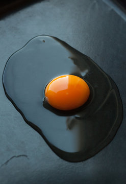 Fresh raw egg on a dark background